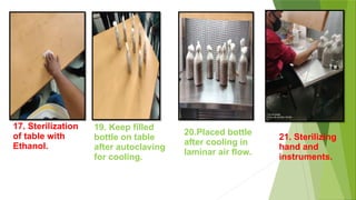 17. Sterilization
of table with
Ethanol.
19. Keep filled
bottle on table
after autoclaving
for cooling.
21. Sterilizing
hand and
instruments.
20.Placed bottle
after cooling in
laminar air flow.
 