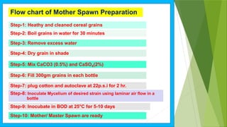 Step-1: Heathy and cleaned cereal grains
Step-2: Boil grains in water for 30 minutes
Step-3: Remove excess water
Step-4: Dry grain in shade
Step-5: Mix CaCO3 (0.5%) and CaSO4(2%)
Step-6: Fill 300gm grains in each bottle
Step-7: plug cotton and autoclave at 22p.s.i for 2 hr.
Step-8: Inoculate Mycelium of desired strain using laminar air flow in a
bottle
Step-9: Inocubate in BOD at 25°C for 5-10 days
Step-10: Mother/ Master Spawn are ready
Flow chart of Mother Spawn Preparation
 