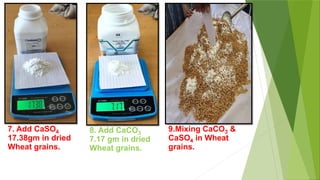 7. Add CaSO4
17.38gm in dried
Wheat grains.
8. Add CaCO3
7.17 gm in dried
Wheat grains.
9.Mixing CaCO3 &
CaSO4 in Wheat
grains.
 