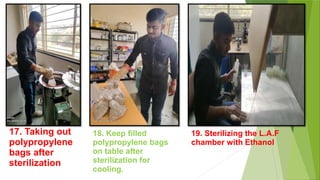 18. Keep filled
polypropylene bags
on table after
sterilization for
cooling.
19. Sterilizing the L.A.F
chamber with Ethanol
17. Taking out
polypropylene
bags after
sterilization
 