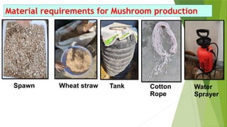 Material requirements for Mushroom production
Spawn Wheat straw Tank Cotton
Rope
Water
Sprayer
 
