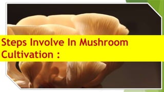 Steps Involve In Mushroom
Cultivation :
 