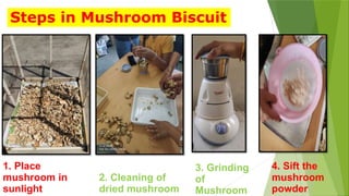 1. Place
mushroom in
sunlight
2. Cleaning of
dried mushroom
3. Grinding
of
Mushroom
4. Sift the
mushroom
powder
Steps in Mushroom Biscuit
 