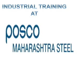 POSCO Maharashtra Steel