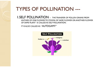 Topic for seminar on Pollination their diffrent type and methods | PDF