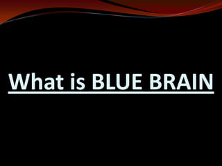 What is BLUE BRAIN
 