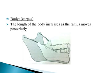 Anatomy and Development of Mandible | PPTX