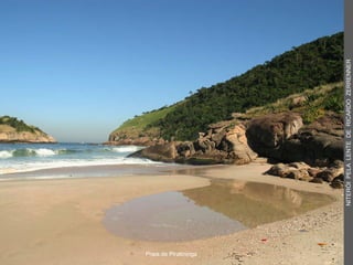 Praia de Piratininga
NITERÓIPELALENTEDERICARDOZERRENNER
 