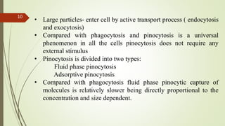 Nikita Rathi (targeted drug delivery system) | PPTX