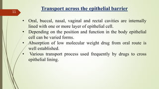 Nikita Rathi (targeted drug delivery system) | PPTX