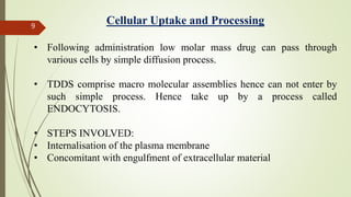 Nikita Rathi (targeted drug delivery system) | PPTX