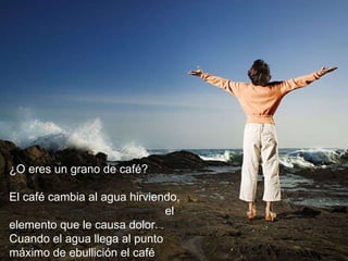 ¿O eres un grano de café?  El café cambia al agua hirviendo,  el elemento que le causa dolor.  Cuando el agua llega al punto  máximo de ebullición el café alcanza su mejor sabor y aroma. 