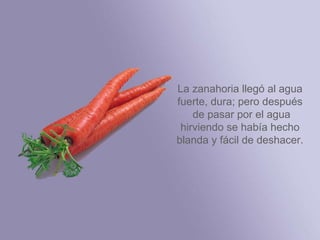 La zanahoria llegó al agua fuerte, dura; pero después  de pasar por el agua hirviendo se había hecho blanda y fácil de deshacer. 