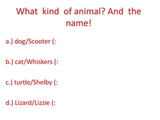 What  kind  of animal? And  the  name!a.) dog/Scooter (:b.) cat/Whiskers (:c.) turtle/Shelby (:d.) Lizard/Lizzie (: