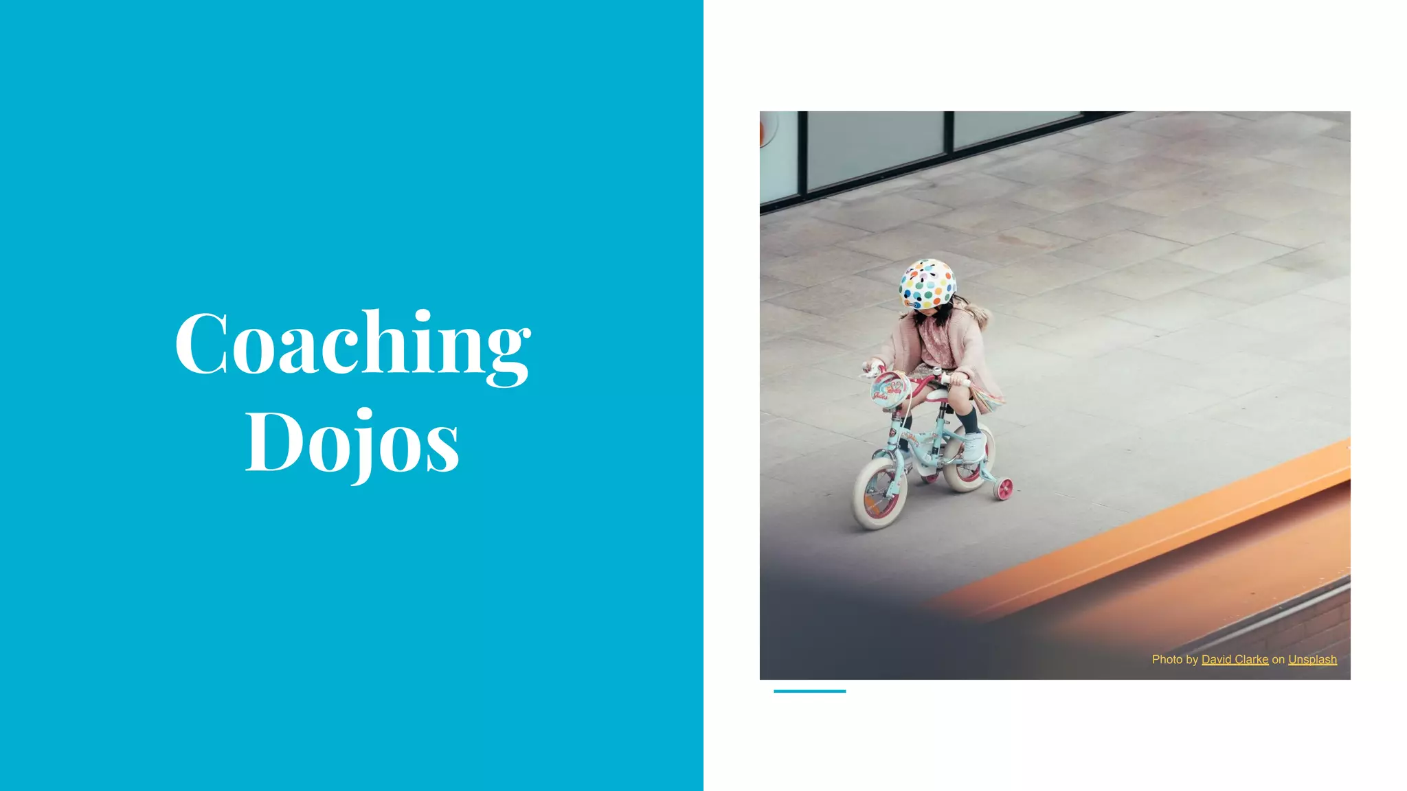 Coaching
Dojos
Photo by David Clarke on Unsplash
 