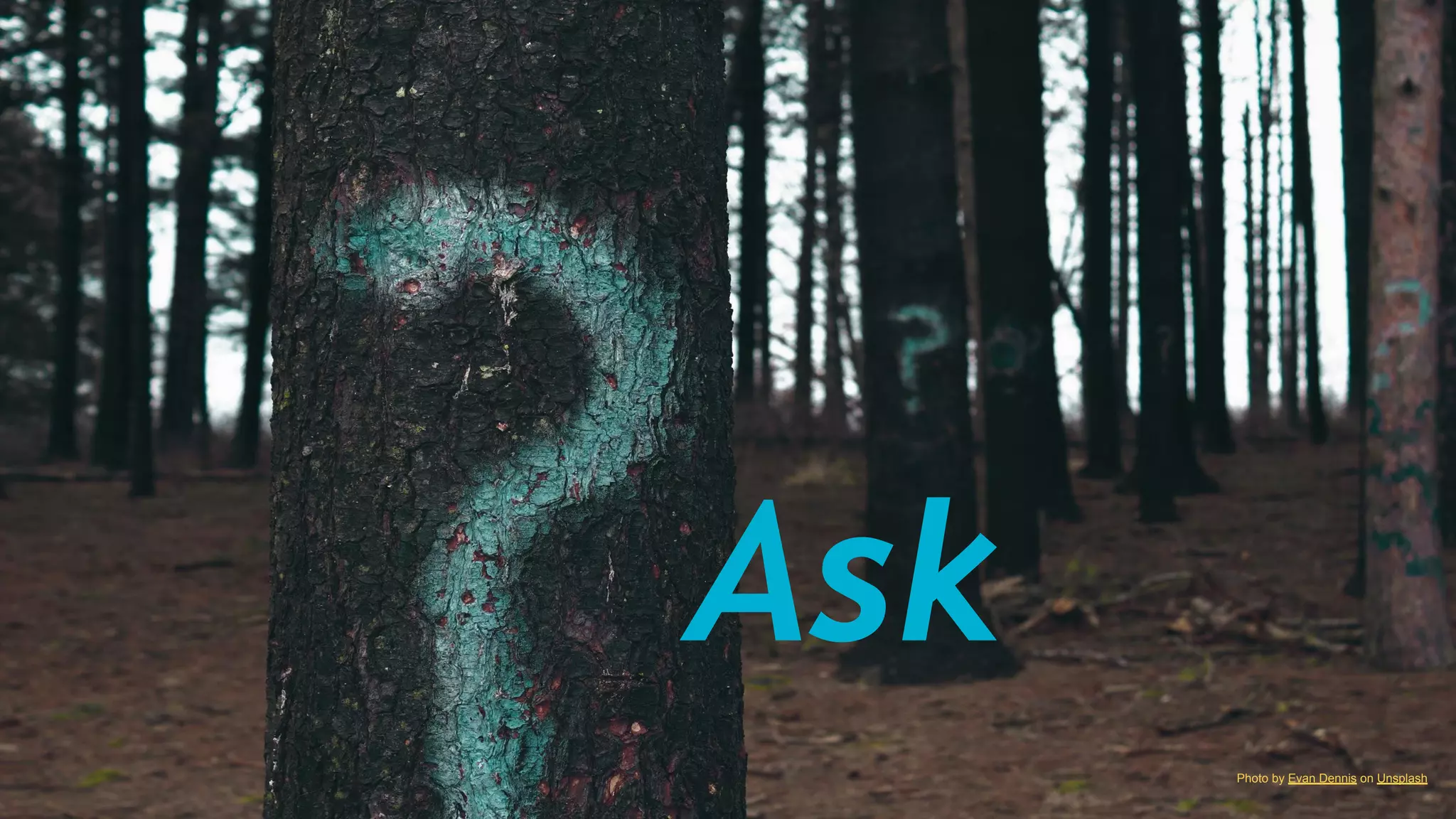 Ask
Photo by Evan Dennis on Unsplash
 