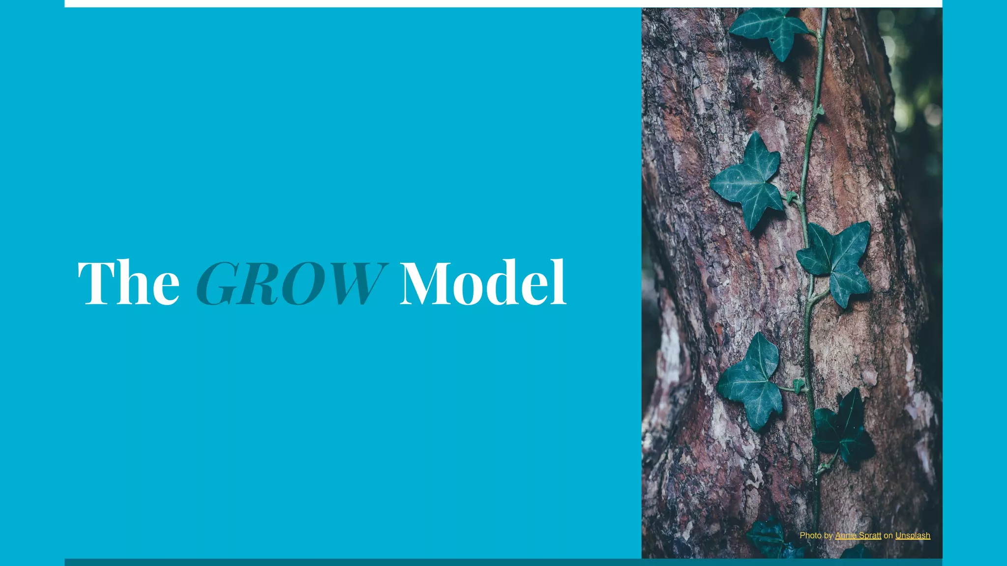 The GROW Model
Photo by Annie Spratt on Unsplash
 
