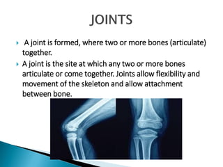  A joint is formed, where two or more bones (articulate)
together.
 A joint is the site at which any two or more bones
articulate or come together. Joints allow flexibility and
movement of the skeleton and allow attachment
between bone.
 