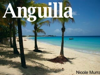 Anguilla Nicole Murray 