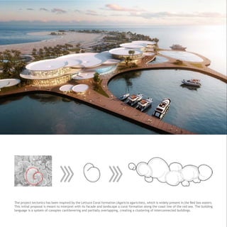 The project tectonics has been inspired by the Lettuce Coral formation (Agaricia agaricites), which is widely present in the Red Sea waters.
This initial proposal is meant to interpret with its facade and landscape a coral formation along the coast line of the red sea. The building
language is a system of canopies cantilevering and partially overlapping, creating a clustering of interconnected buildings.
 