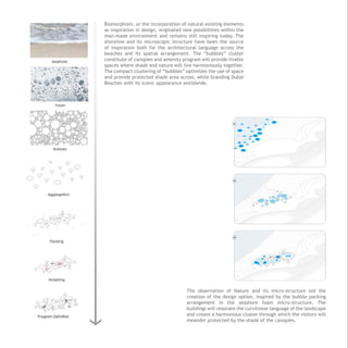 Biomorphism, or the incorporation of natural existing elements
as inspiration in design, originated new possibilities within the
man-made environment and remains still inspiring today. The
shoreline and its microscopic structure have been the source
of inspiration both for the architectural language across the
beaches and its spatial arrangement. The “bubbles” cluster
constitute of canopies and amenity program will provide livable
spaces where shade and nature will live harmoniously together.
The compact clustering of “bubbles” optimizes the use of space
and provide protected shade area across, while branding Dubai
Beaches with its iconic appearance worldwide.
The observation of Nature and its micro-structure led the
creation of the design option, inspired by the bubble packing
arrangement in the seashore foam micro-structure. The
buildings will resonate the curvilinear language of the landscape
and create a harmonious cluster through which the visitors will
meander protected by the shade of the canopies.
 