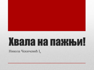 Хвала на пажњи!
Никола Чекичевић I6

 