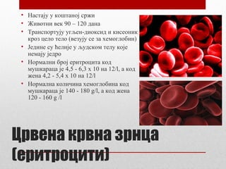 • Настају у коштаној сржи
• Животни век 90 – 120 дана
• Транспортују угљен-диоксид и кисеоник
кроз цело тело (везују се за хемоглобин)
• Једине су ћелије у људском телу које
немају једро
• Нормални број еритроцита код
мушкараца је 4,5 - 6,3 x 10 нa 12/l, а код
жена 4,2 - 5,4 x 10 нa 12/l
• Нормална количина хемоглобина код
мушкараца је 140 - 180 g/l, а код жена
120 - 160 g /l

Црвена крвна зрнца
(еритроцити)

 
