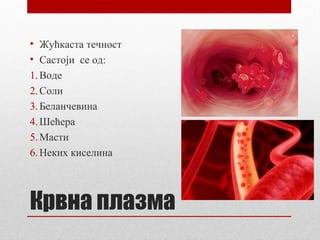 • Жућкаста течност
• Састоји се од:
1. Воде
2. Соли
3. Беланчевина
4. Шећера
5. Масти
6. Неких киселина

Крвна плазма

 