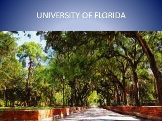 UNIVERSITY OF FLORIDA
 