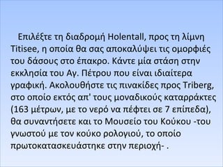 Επιλέξτε τη διαδρομή Holentall, προς τη λίμνη
Titisee, η οποία θα σας αποκαλύψει τις ομορφιές
του δάσους στο έπακρο. Κάντε μία στάση στην
εκκλησία του Αγ. Πέτρου που είναι ιδιαίτερα
γραφική. Ακολουθήστε τις πινακίδες προς Triberg,
στο οποίο εκτός απ' τους μοναδικούς καταρράκτες
(163 μέτρων, με το νερό να πέφτει σε 7 επίπεδα),
θα συναντήσετε και το Μουσείο του Κούκου -του
γνωστού με τον κούκο ρολογιού, το οποίο
πρωτοκατασκευάστηκε στην περιοχή- .
 