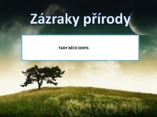   TADY NĚCO DOPIS 