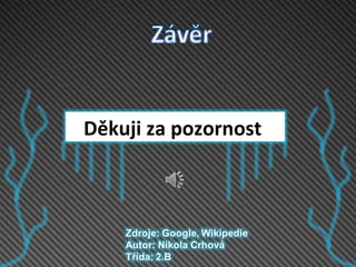 Děkuji za pozornost 