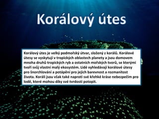 Korálový útes je velký podmořský útvar, složený z korálů. Korálové útesy se vyskytují v tropických oblastech planety a jsou domovem mnoha druhů tropických ryb a ostatních mořských tvorů, se kterými tvoří svůj vlastní malý ekosystém. Lidé vyhledávají korálové útesy pro šnorchlování a potápění pro jejich barevnost a rozmanitost života. Koráli jsou však také naproti své křehké kráse nebezpečím pro lodě, které mohou díky své tvrdosti potopit. 