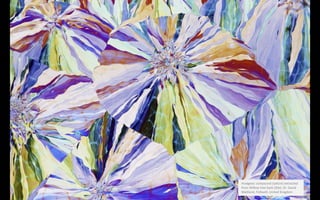 Analgesic compound (salicin) extracted
from Willow tree bark (50x). Dr. David
Maitland, Feltwell, United Kingdom
 