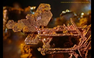 Cristales de cobre (5x). Honorio Cocera-La Parra, Valencia, España
 