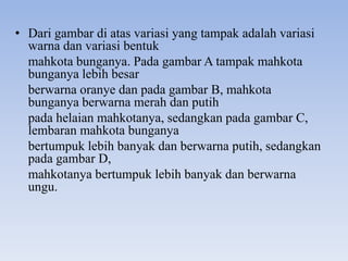 • Dari gambar di atas variasi yang tampak adalah variasi
  warna dan variasi bentuk
  mahkota bunganya. Pada gambar A tampak mahkota
  bunganya lebih besar
  berwarna oranye dan pada gambar B, mahkota
  bunganya berwarna merah dan putih
  pada helaian mahkotanya, sedangkan pada gambar C,
  lembaran mahkota bunganya
  bertumpuk lebih banyak dan berwarna putih, sedangkan
  pada gambar D,
  mahkotanya bertumpuk lebih banyak dan berwarna
  ungu.
 