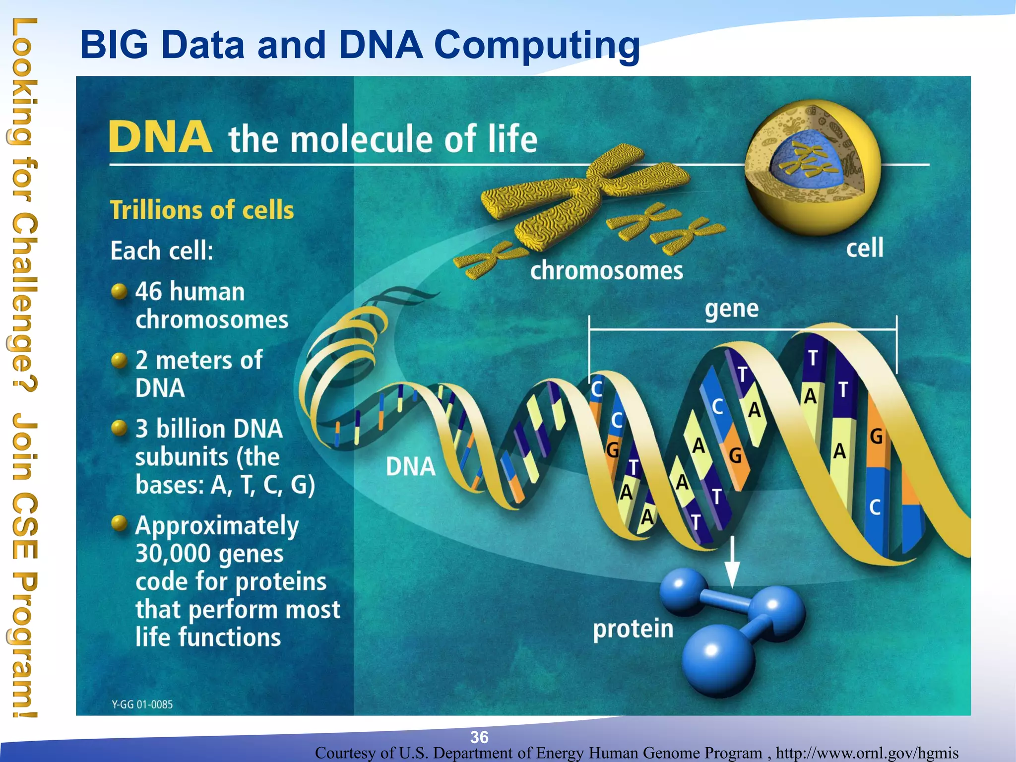 Courtesy of U.S. Department of Energy Human Genome Program , http://www.ornl.gov/hgmis
BIG Data and DNA Computing
36
 