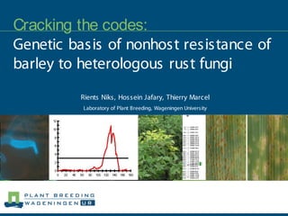 Cracking the codes:
Genetic basis of nonhost resistance of
barley to heterologous rust fungi
         Rients Niks, Hossein Jafary, Thierry Marcel
          Laboratory of Plant Breeding, Wageningen University
 