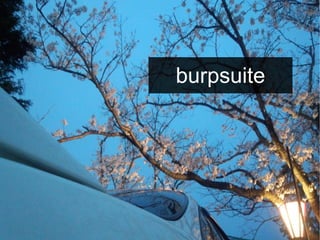 burpsuite
 