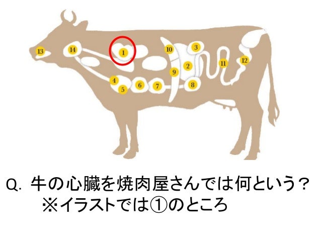 肉の部位クイズ