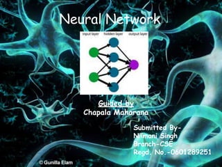 Neural Network
Guided by
Chapala Maharana
Submitted By-
Nilmani Singh
Branch-CSE
Regd. No.-0601289251
 