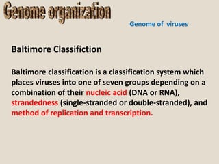 NILANSU_DASGenome organization2020-04-08Genome organization.pptx