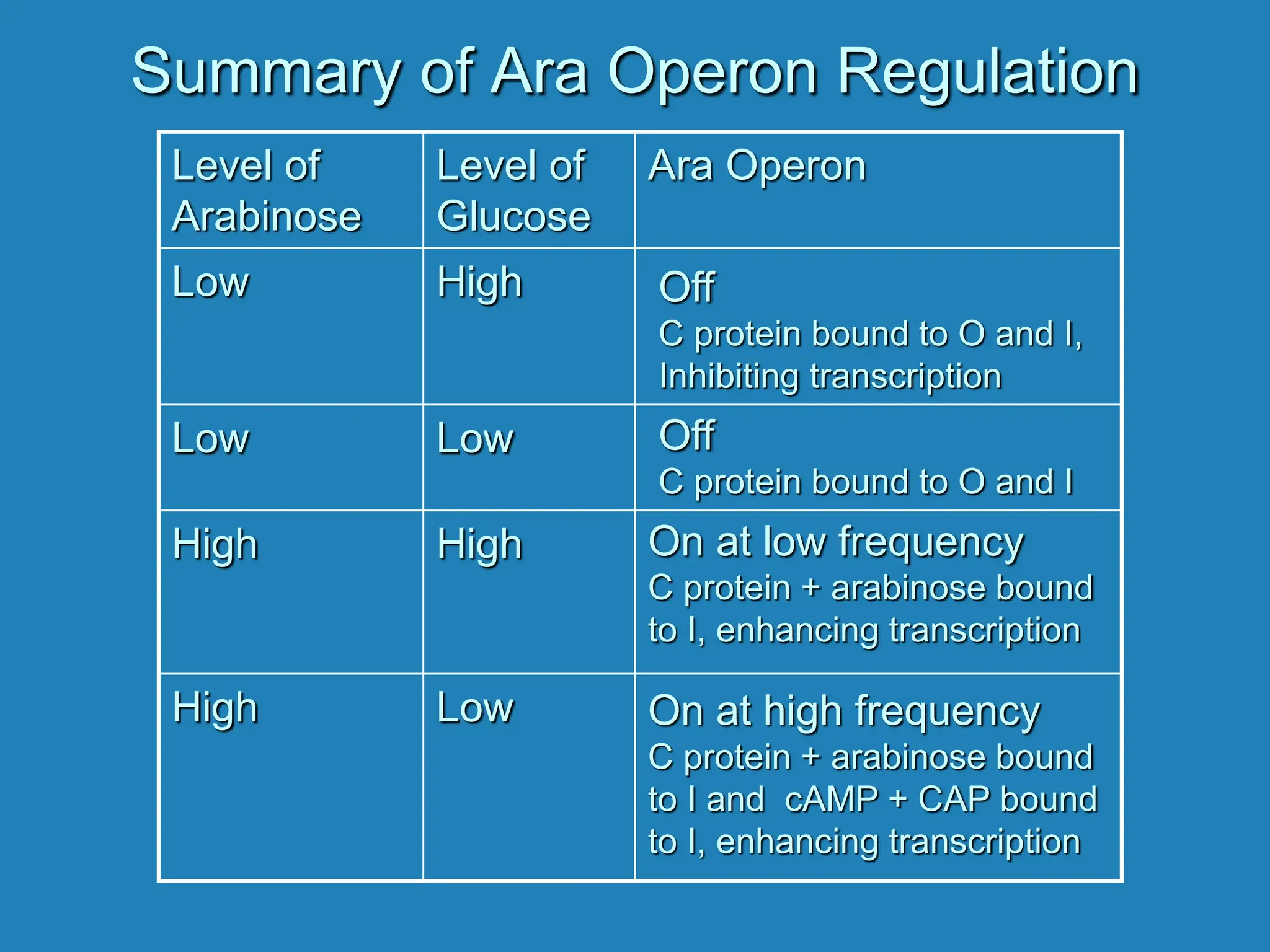 expression of genes , operon - lac operon and trp operon | PPT
