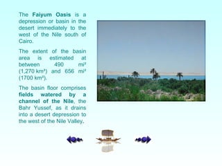 The  Faiyum Oasis  is a depression or basin in the desert immediately to the west of the Nile south of Cairo.  The extent of the basin area is estimated at between 490 mi² (1,270 km²) and 656 mi² (1700 km²).  The basin floor comprises  fields watered by a channel of the Nile , the Bahr Yussef, as it drains into a desert depression to the west of the Nile Valley .  