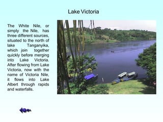 Lake   Victoria The White Nile, or simply  the Nile,  has three different sources, situated to the north of lake Tanganyika, which join  together quickly before merging into Lake Victoria. After flowing from Lake Victoria, now with the name of Victoria Nile, it flows into Lake Albert through rapids and waterfalls. 