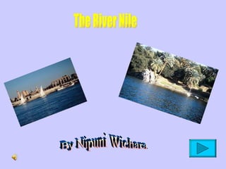 The River Nile By Nipuni Wichara 