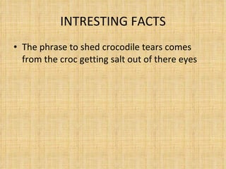 INTRESTING FACTS The phrase to shed crocodile tears comes from the croc getting salt out of there eyes 