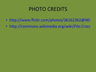 PHOTO CREDITS http://www.flickr.com/photos/36162362@N03/3933550032 http://commons.wikimedia.org/wiki/File:Crocodylus_niloticus_(Kafue).jpg 