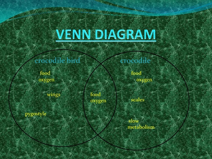 Nile Crocodile & Crocodile Bird-Symbiotic Relationship teeth diagram for kids 