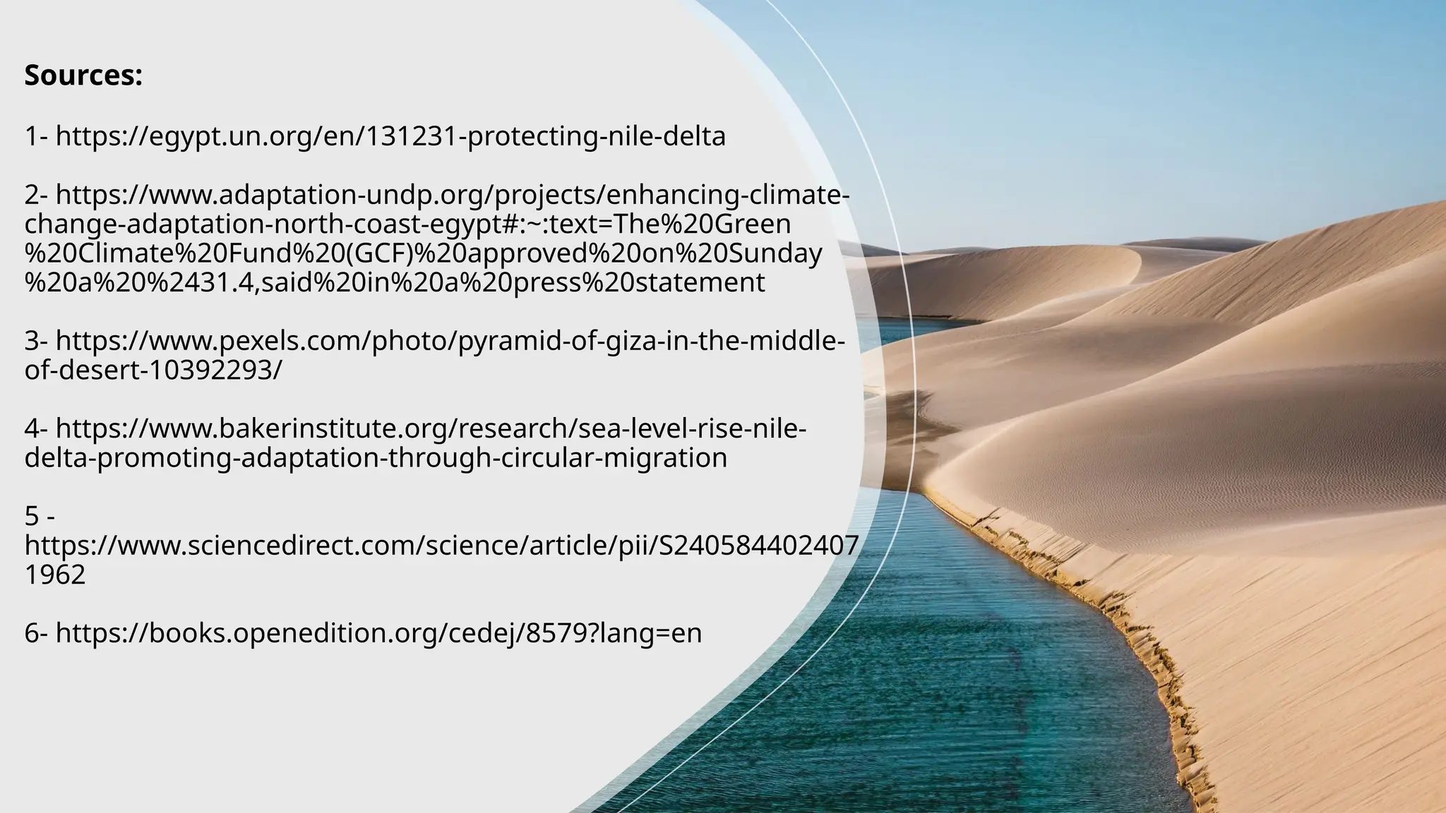 The Cobra in the Tree: A Scene That Went Viral